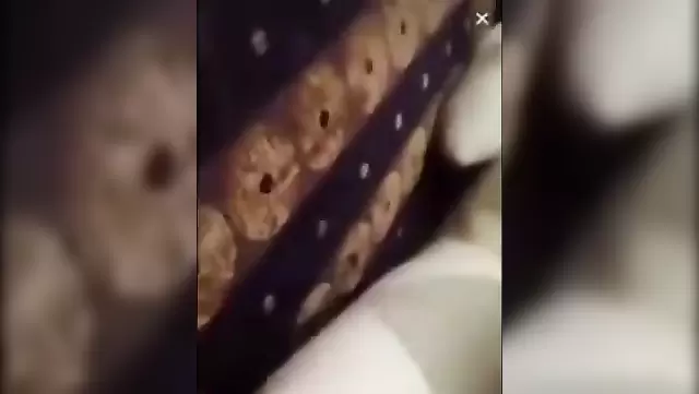 Кавказская сучка сосет член друга